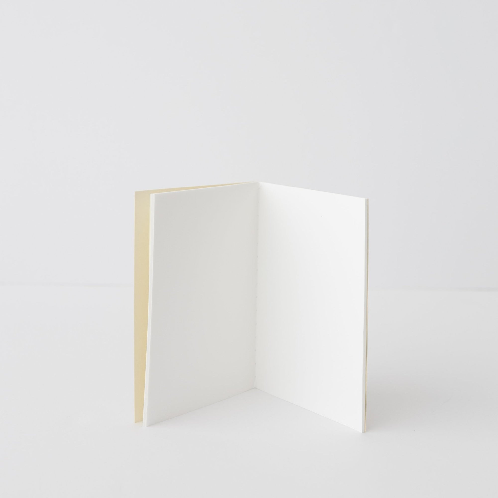 Passport Size Traveler's Notebook Inserts - tortoise general store