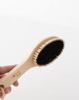 Short Handled Horse Hair Body Brush - tortoise general store