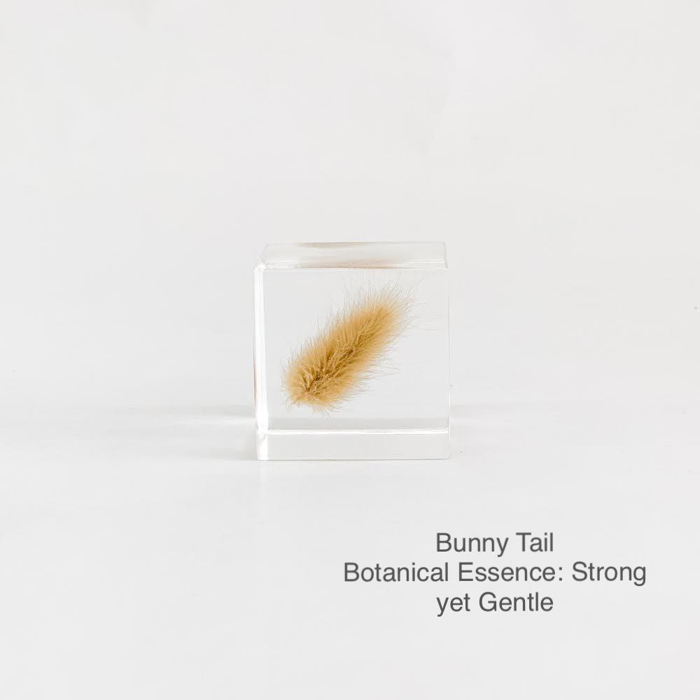 Bunny Tail with Botanical Essence: Strong Yet Gentle