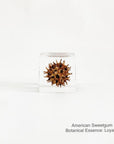 American Sweetgum with Botanical Essence: Loyalty