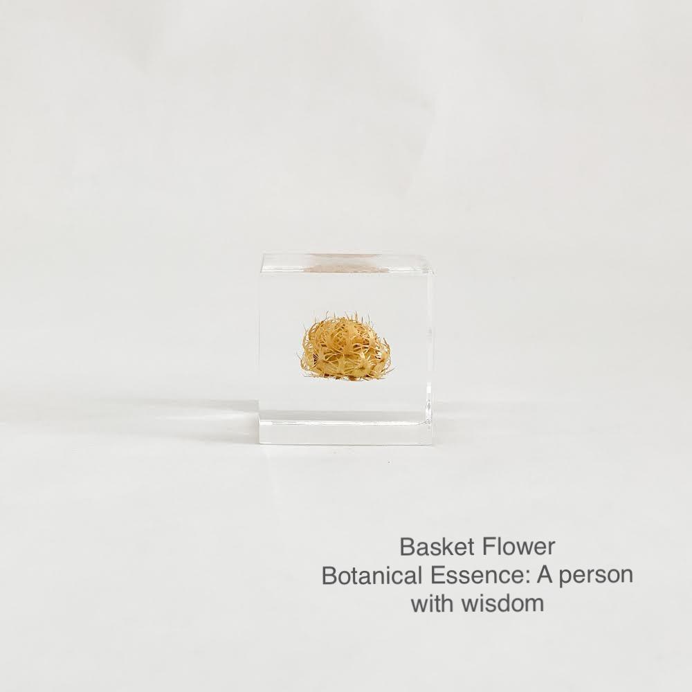 Basket Flower with Botanical Essence: A Person with Wisdom