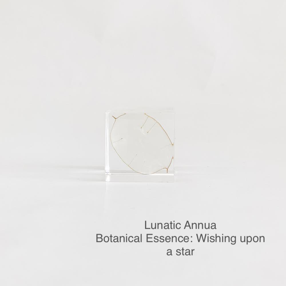 Lunatic Annua with Botanical Essence: Wishing Upon a Star