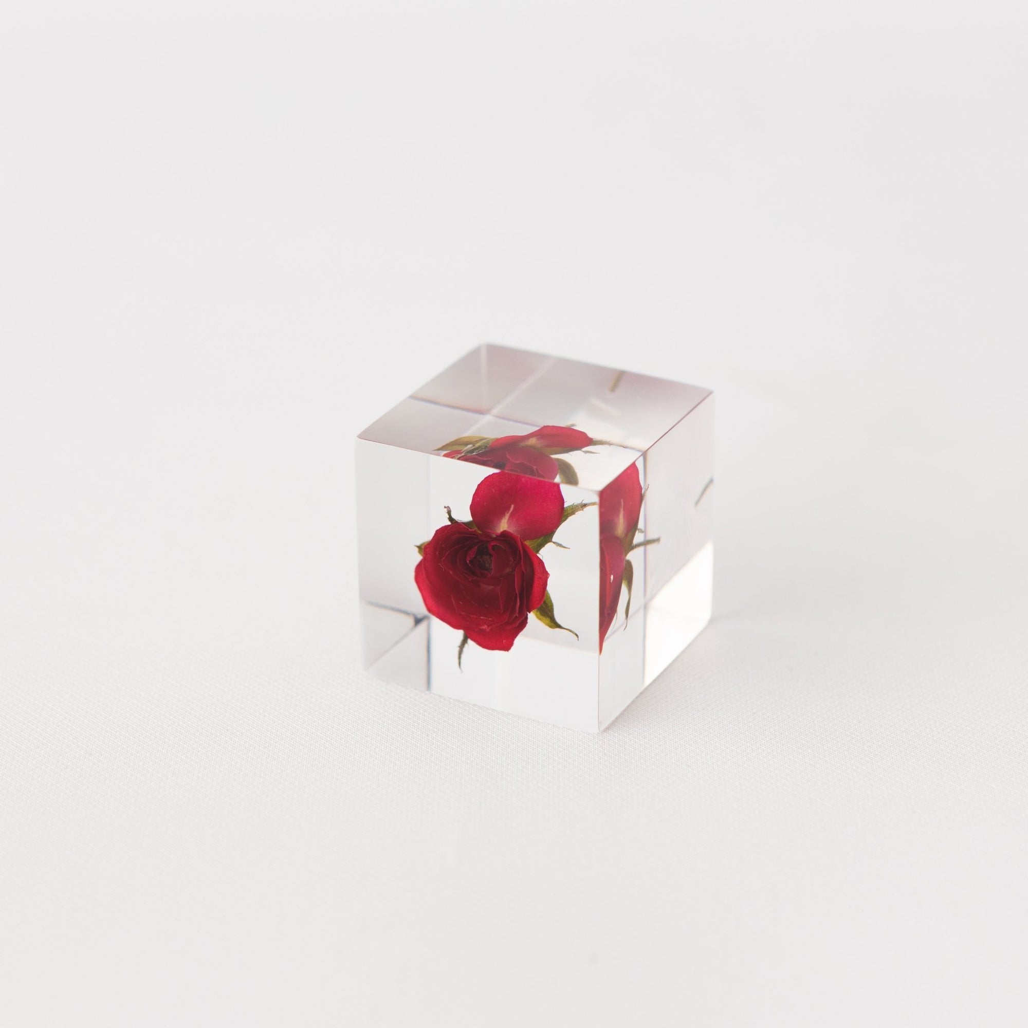 Sola Cubes - Rose (Limited Edition) - tortoise general store