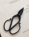 Tajika Branch Scissors - tortoise general store