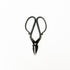 Tajika Branch Scissors - tortoise general store