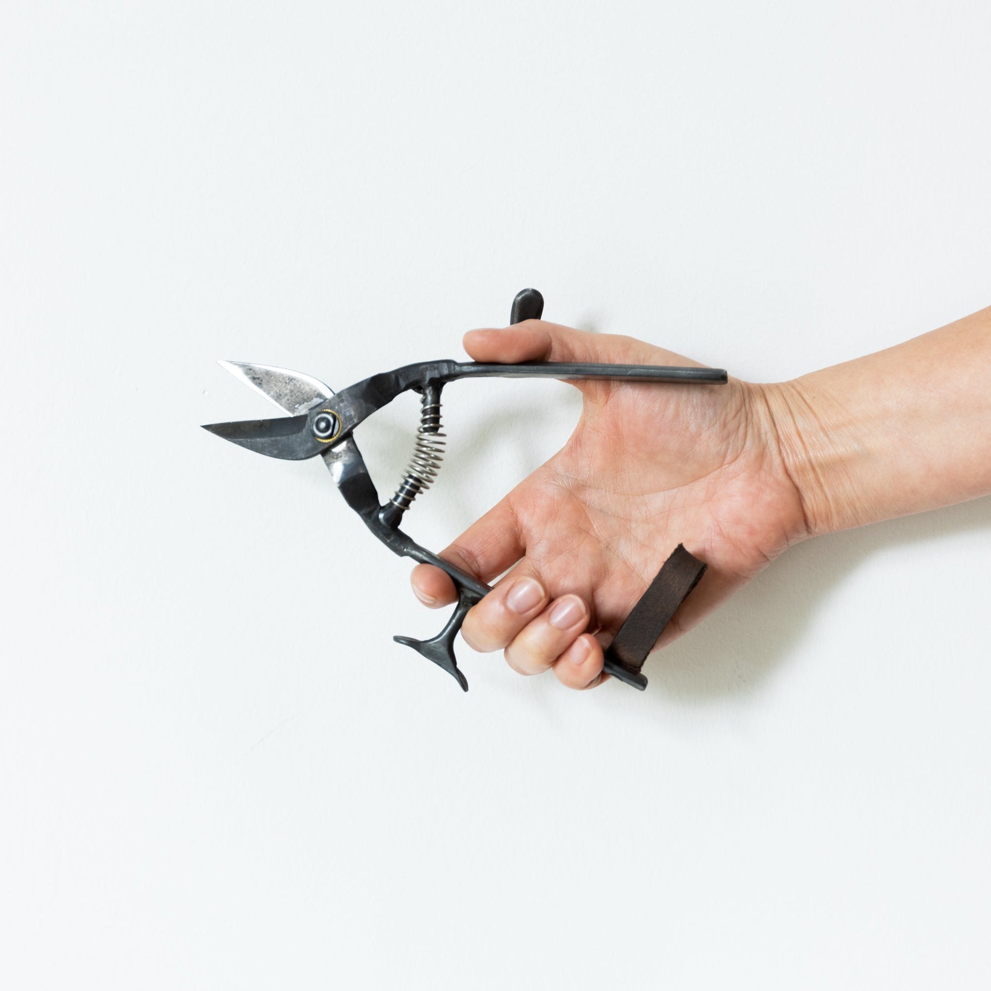 garden hand scissors Tajika Garden Scissors